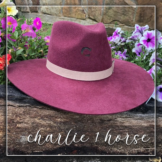 Charlie 1 Horse