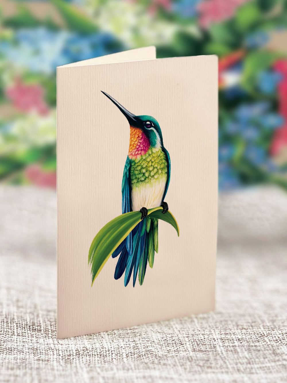Hummingbird Oasis-Gifts-Whiskey Ray's Boutique-Whiskey Ray's Boutique, Women's Western Wear Boutique in Waxahachie, TX