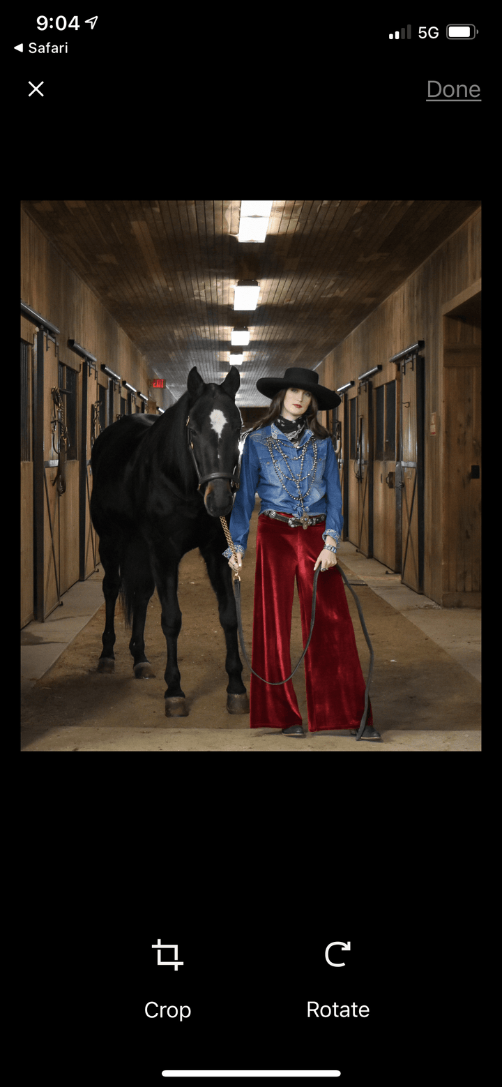 Tasha Polizzi Ginny Pant-Pants-Whiskey Ray's Boutique-Whiskey Ray's Boutique, Women's Western Wear Boutique in Waxahachie, TX