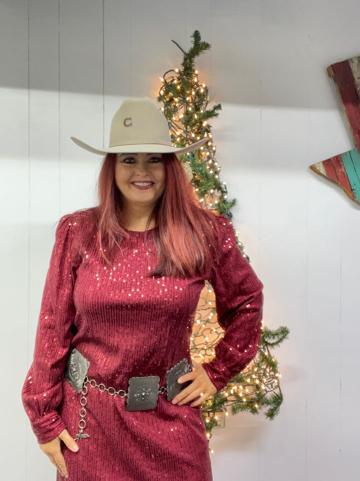 Sparkly dress-Dresses-Whiskey Ray's Boutique-Whiskey Ray's Boutique, Women's Western Wear Boutique in Waxahachie, TX